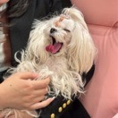 宋欣瑜Jerry