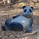 簡中意